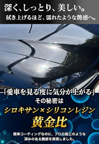 爆弾鬼-バクハジキ 撥水コーティング 車 【高濃度シリコーンレジン配合ｘ簡単施工で爆撥水ｘ驚きの艶ｘガラス面にも使えるマルチコーティング】 コーティング剤 カーコーティング剤 日本製 200ml 中間 画像
