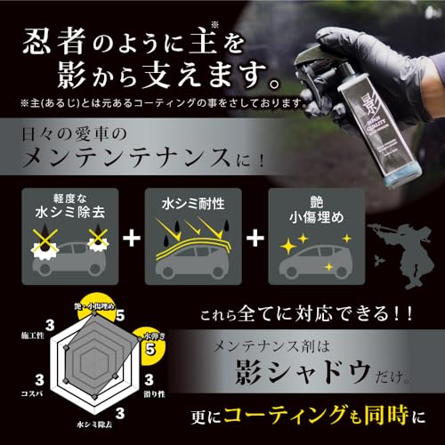 【ながら洗車Black Standard】 シャドウ/影 (350ml) コーティングのメンテナンスを簡単に コーティング メンテナンス コーティング剤 メンテナンス剤 中間 画像