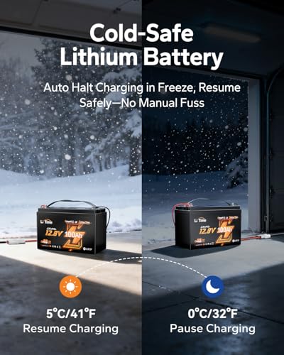 LiTime 12V 100Ah TM Bluetooth リン酸鉄リチウムイオンバッテリー (2個セット) リモート管理機能 低温保護 100A BMS内蔵 Group31サイズ LiFePO4 トローリングモーター、ヨット、船舶、ボート、キャンピングカー、車中泊、車用サブバッテリー、家庭用予備電源に適用 中間 画像