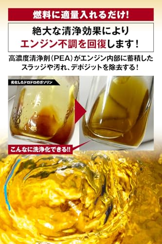 AZ(エーゼット) 燃料添加剤 FCR-062 FP013 300ml 中間 画像