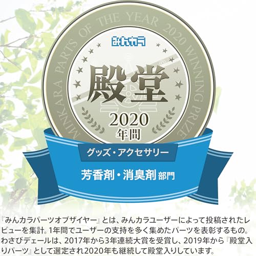 Valeo 消臭抗菌剤 わさびデェール 1個入 カーエアコン用消臭抗菌剤 VCC04624 最後 画像