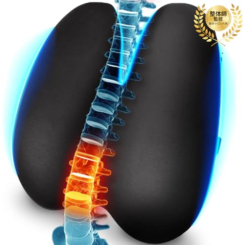 【anan掲載 理学療法士監修】Calmoon 腰セレブ ランバーサポート 腰シートクッション 横ずれ防止バンド付調整可能 人間工学 蒸れない通気性 腰枕 腰当て カーシート 車椅子 高反発 低反発 車中泊グッズ 背もたれ 洗えるカバー オフィスチェア ドライブ 車用 父の日 母の日 誕生日プレゼント ゲーミングチェア テレワーク 椅子用 日本正規品（ブラック） 画像1