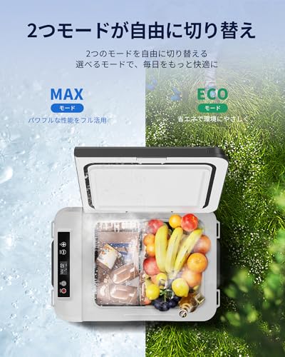 EUHOMY 車載冷蔵庫 ポータブル冷蔵庫 小型 10L 【-20℃~20℃ 急速冷凍】 コンパクト 10L 持ち運び 小型 3WAY電源対応 低電圧保護 車載家庭両用 キャンプ 車中泊 DC12V/24V AC100V コンプレッサー式 ブラックの特徴・詳細 画像